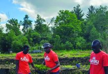 Des racines africaines prennent vie près de Hamilton